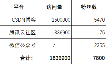 访问量统计数据
