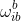 \omega^b_{ib}